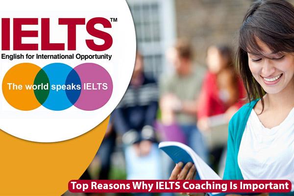 IELTS Consultancy In Nash