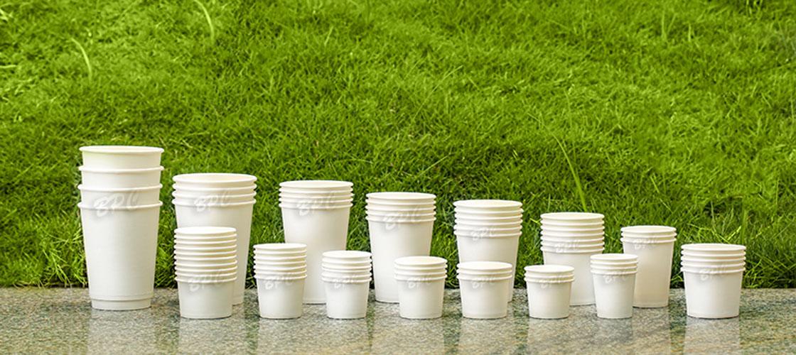 Bengaluru Paper Cups in Bangalore, India