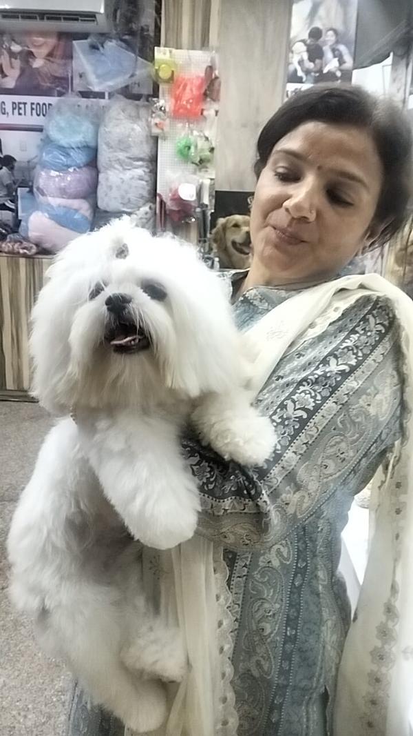 vaishali ghaziabad