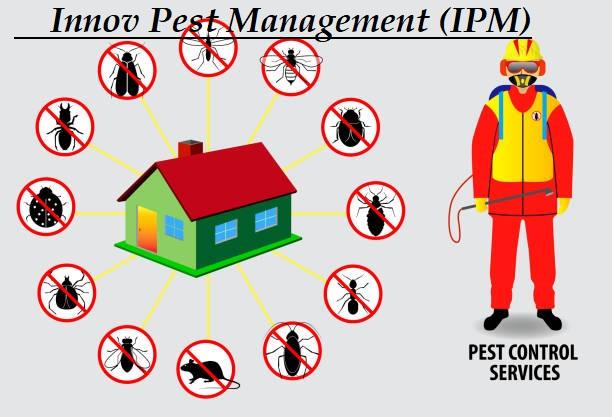 bedbug pest control technique
