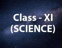 Excelling in 11th Science