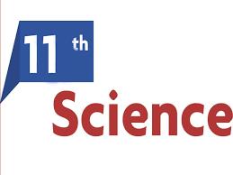 Empowering Students for S