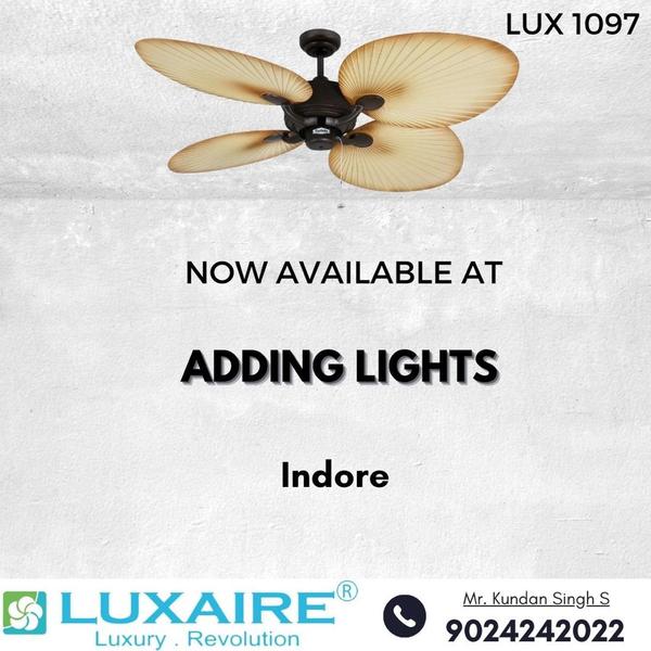 indore chandelier shop
