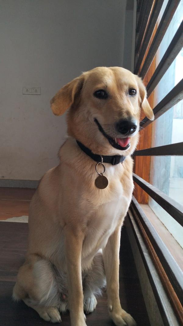 petboardinginvasundhara