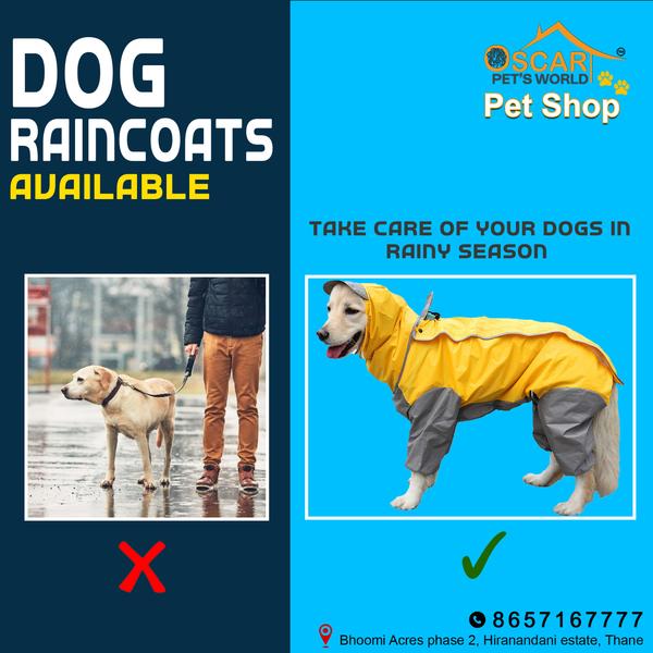 dograincoats