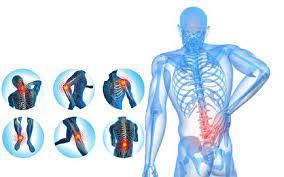 mobile physiotherapy services