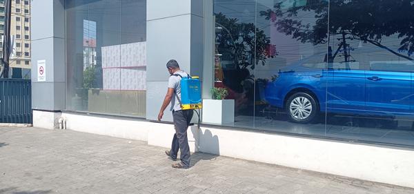 mosquito control service