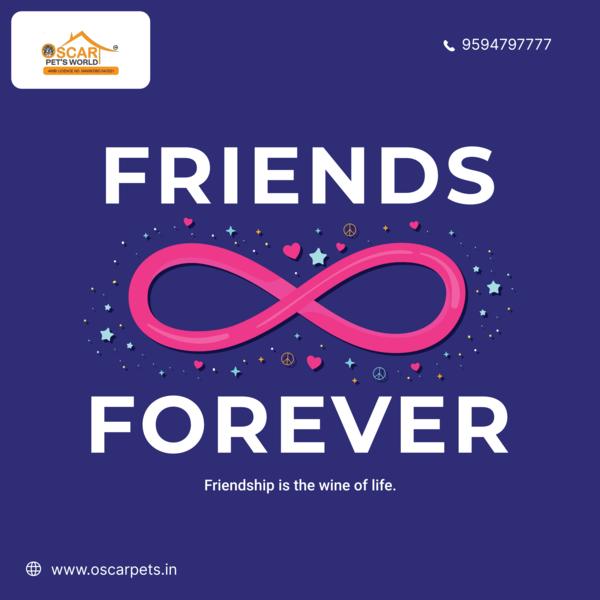 friendshipquotes