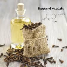 eugenyl acetate oil manufactur