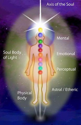 experienced famous astrologer 