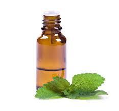 menthol crystals oil wholesale