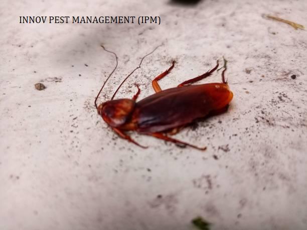 pest control products