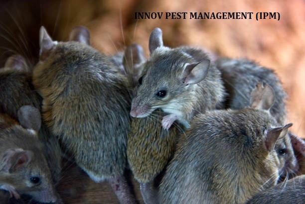 biological control