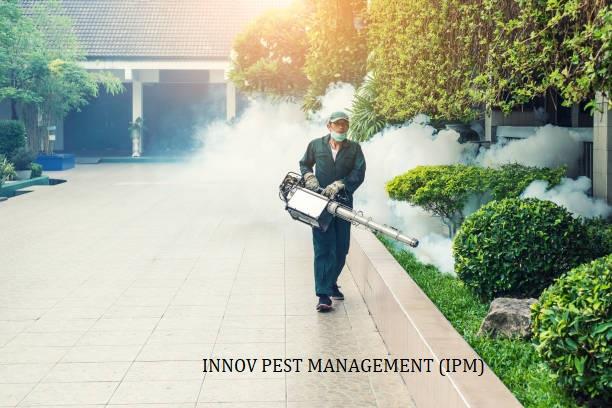 specialized fogging machine