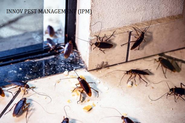 vakola 20pest 20control