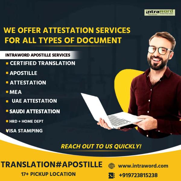 experienced turkish translator