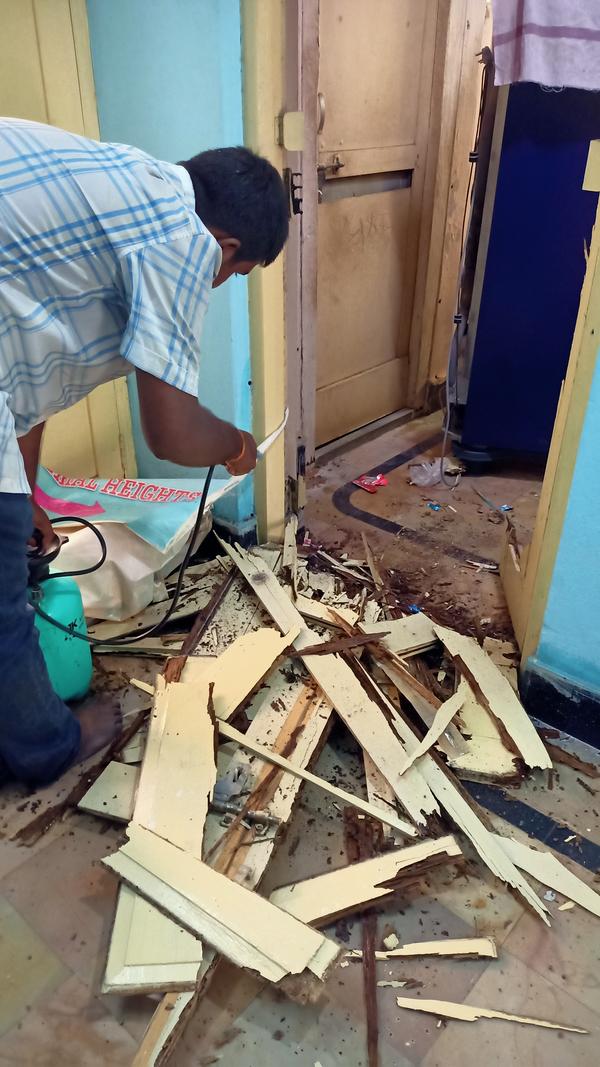 termites compromise