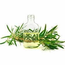 cajuput oil wholesales