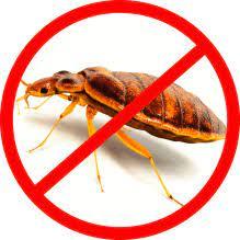 Bed Bug Pest Control In Ghatko