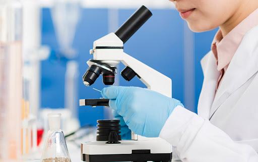 lab