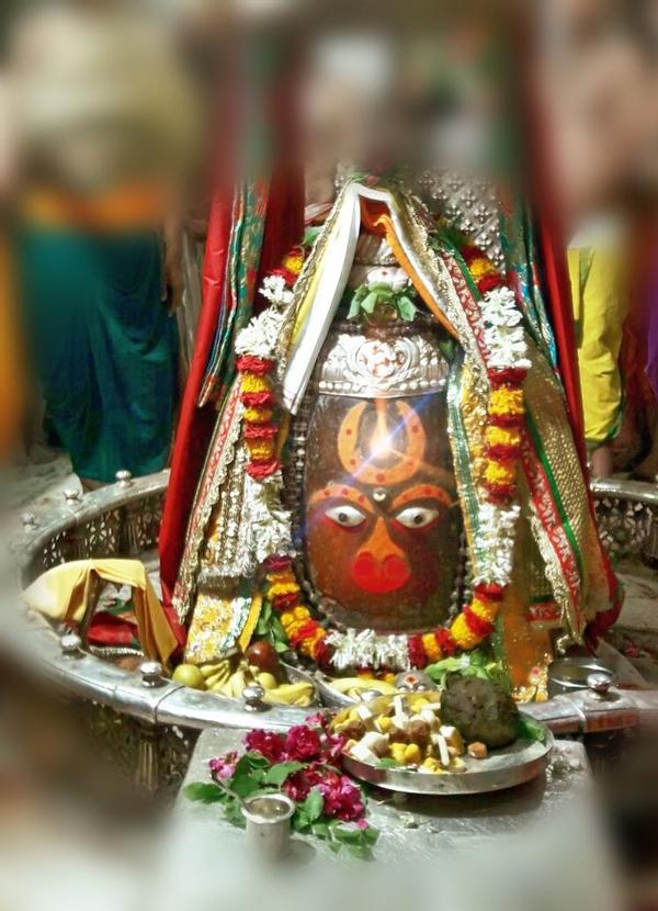 astrologer in jayanagar bangal