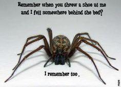 use repellents