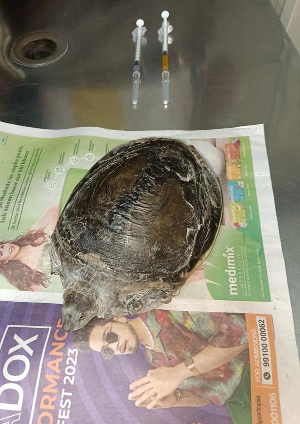 update image