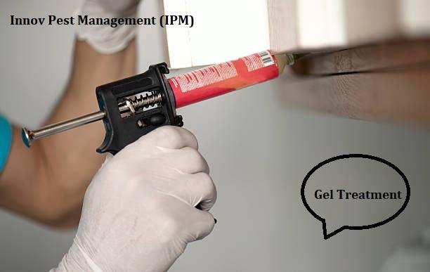 Pest control in Ghatkopar Inno