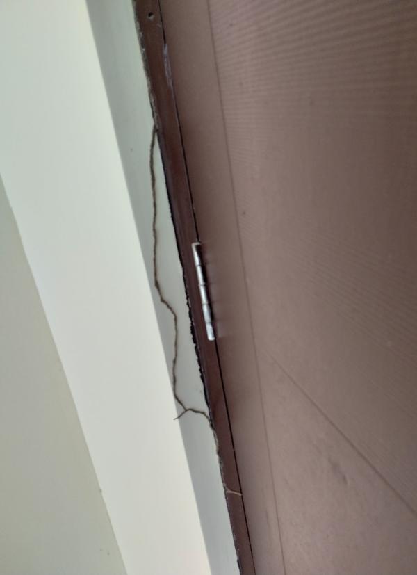 termite problem