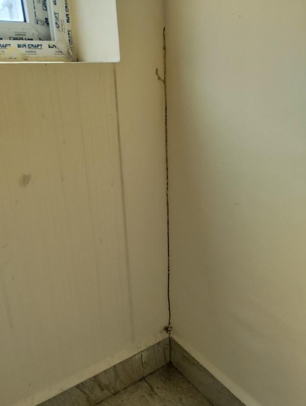 pest control free inspection