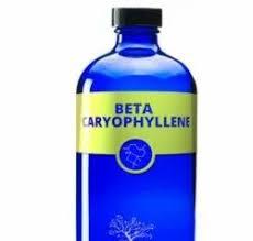 beta caryophyllene oil manufac