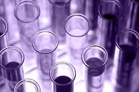 linalool oil best supplier