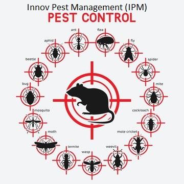 Innov Pest Management (IPM) Co