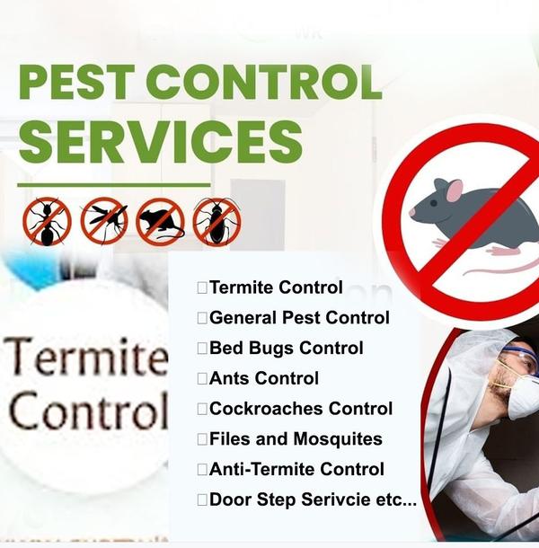 termitetreatmentathomenear