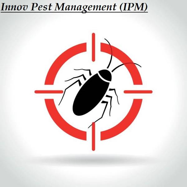 Cockroach Pest control in Ghat