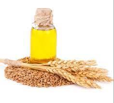 wheat germ oil best supplier