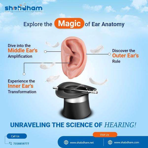 Embark on a journey through Ea