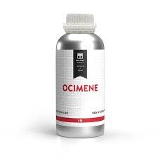 ocimine oil best supplier