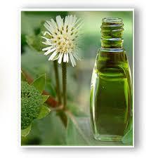 india bhringraj oil best suppl