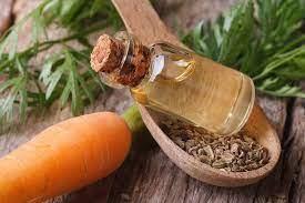carrot seed oil