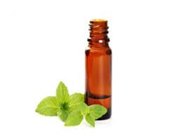 alpha pinene