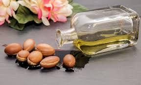apricot oil wholesales
