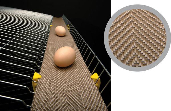 Hongs Egg Belts suitable for any climate change.On