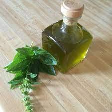 holy basil oil manufactures