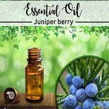 eucalyptus oil ip