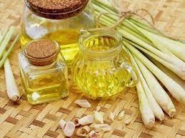 lemon oil manufactures