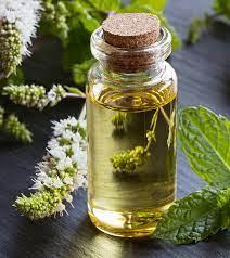 peppermint oil best supplier
