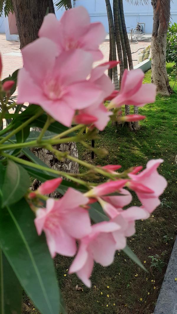 marriages are like fingerprint