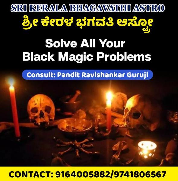 highly experienced astrologer