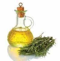 carvacrol oil best supplier